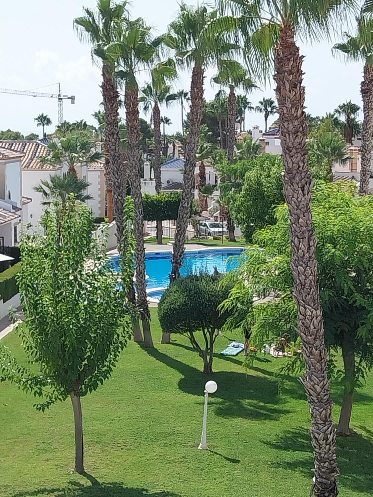 Charming Apartment In Front Of Villamartin Golf And Plaza מראה חיצוני תמונה