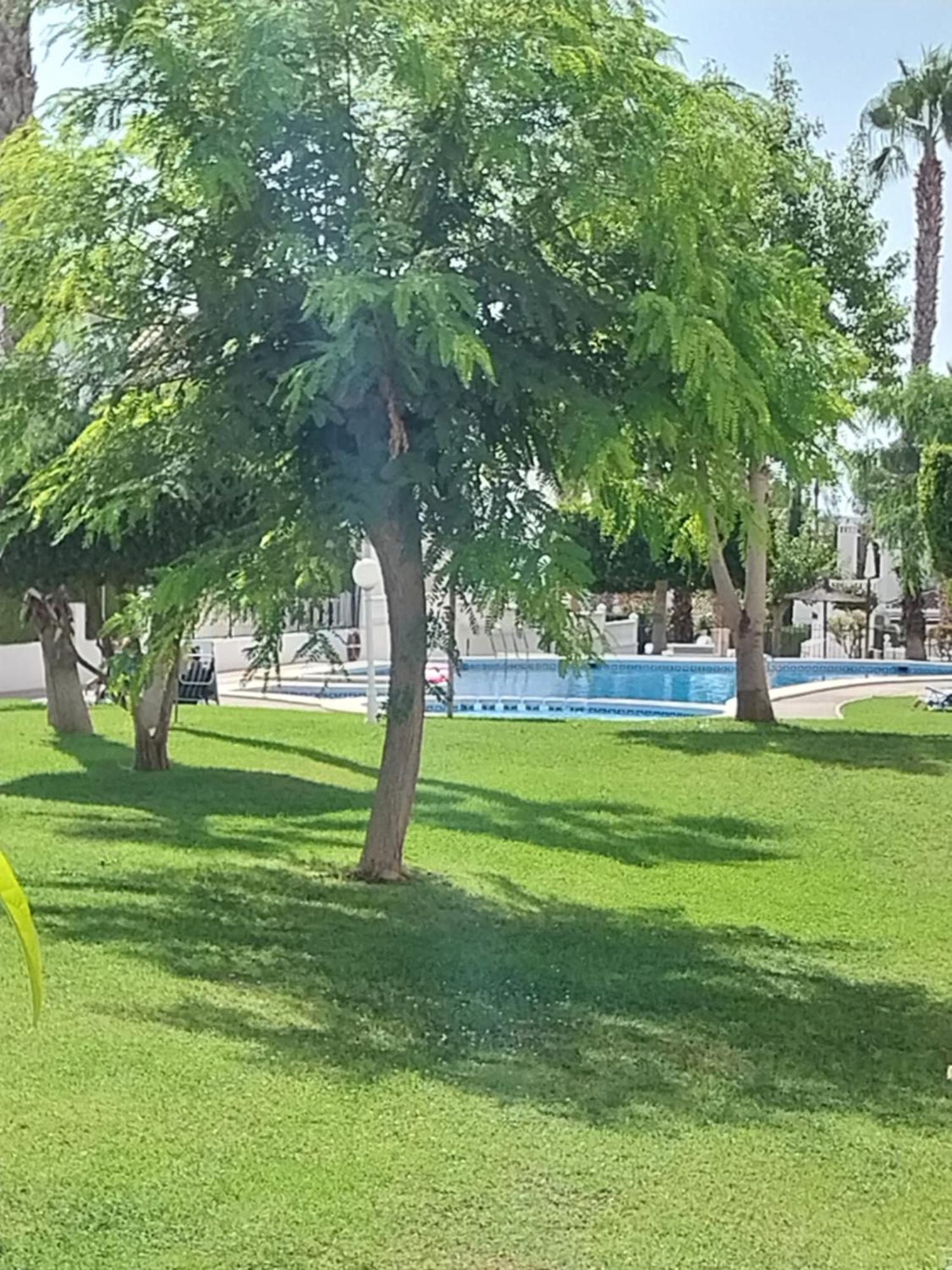 Charming Apartment In Front Of Villamartin Golf And Plaza מראה חיצוני תמונה